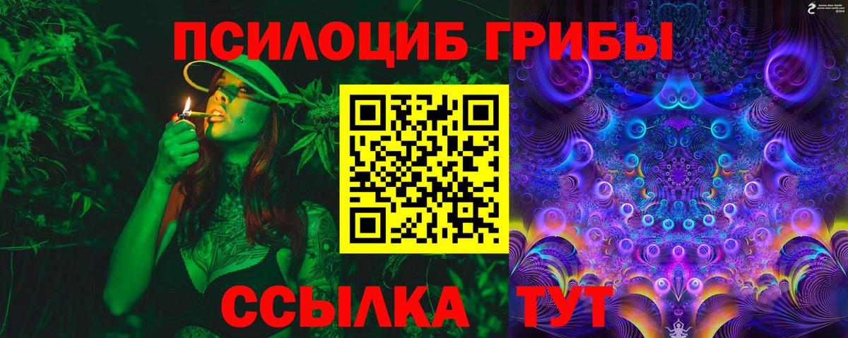 Псилоцибиновые грибы ЛСД Братск