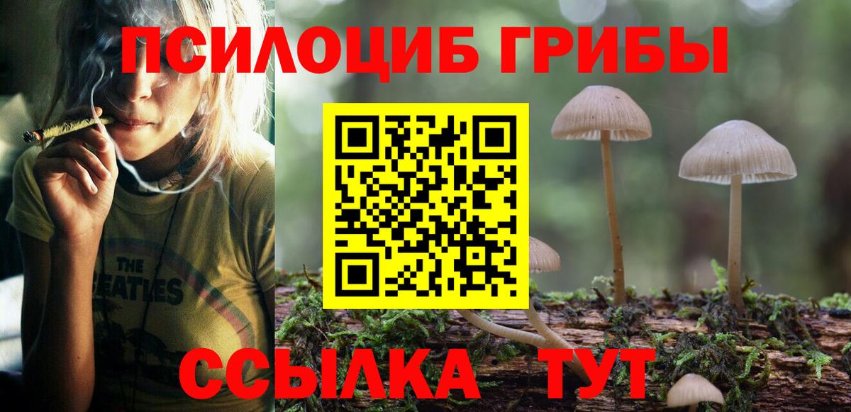Галлюциногенные грибы GOLDEN TEACHER  Вход с VPN  Братск 